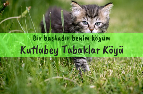 Kutlubey Tabaklar Köyü